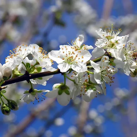 Hi Foz Coa - Pousada De Juventude Hostel